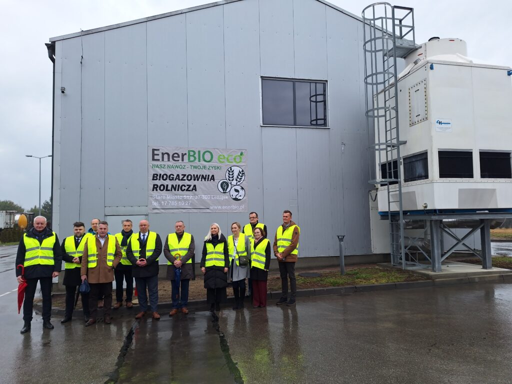 Lezajsk – biogazownia jako filar lokalnej transformacji 1 1 -