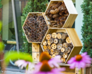 Zrzut ekranu 2026 04 21 130052 -