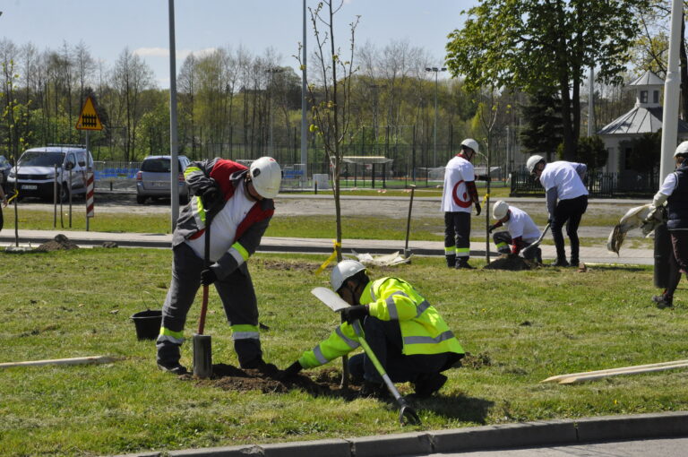 DSC0318 -